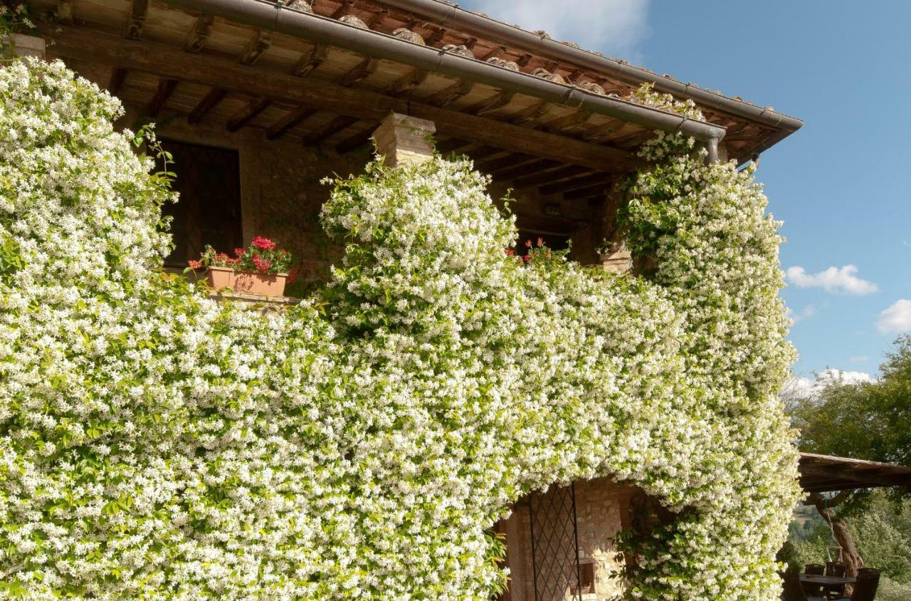 Novellina Villa Certaldo Bagian luar foto